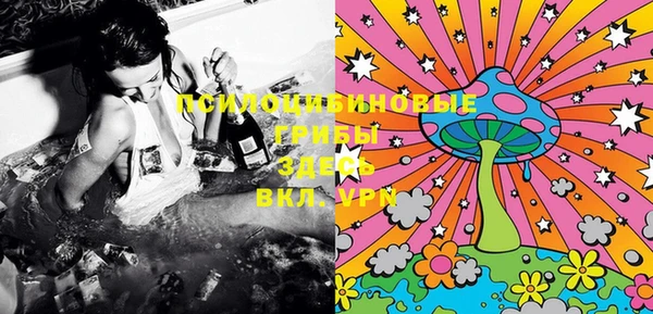 ECSTASY Пролетарск